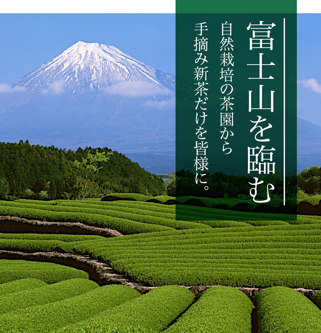 富士山を臨む自然仕立ての茶園から手摘み新茶だけを皆様に