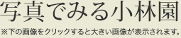 写真でみる小林園　※左の画像をクリックすると大きい画像が表示されます。